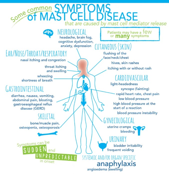 Mass Cell Activation Syndrome MCAS whole body dentistry near me