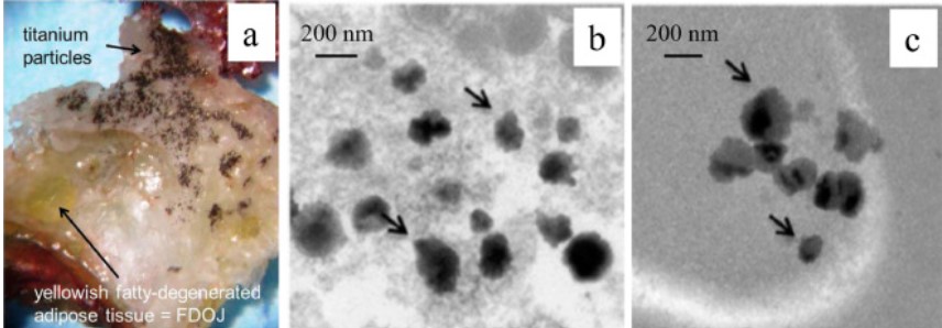 holistic dentist in Alaska