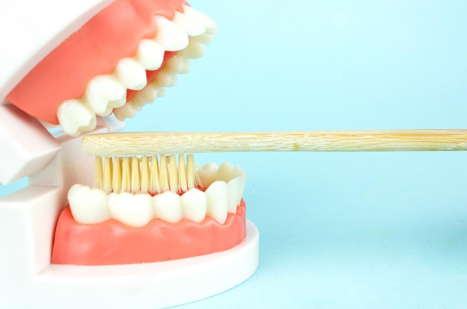 Preventative Dentistry