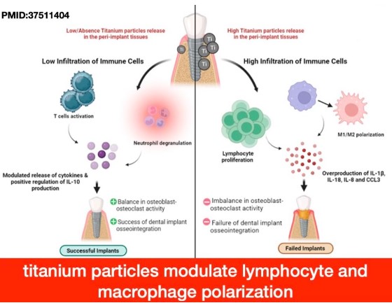 Seattle Dental Care Seattle Dental Care